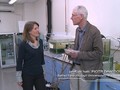 Kadr z filmu „Wioślarka klimatowi się nie oprze” – z pasją o wioślarkach opowiada prof. dr hab. Piotr Dawidowicz
